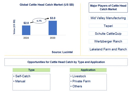Cattle Head Catch Trends and Forecast