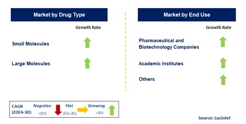 Drug Discovery Outsourcing by Segment