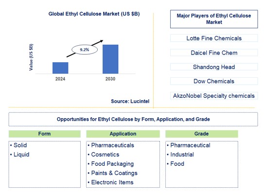 Ethyl Cellulose Trends and Forecast
