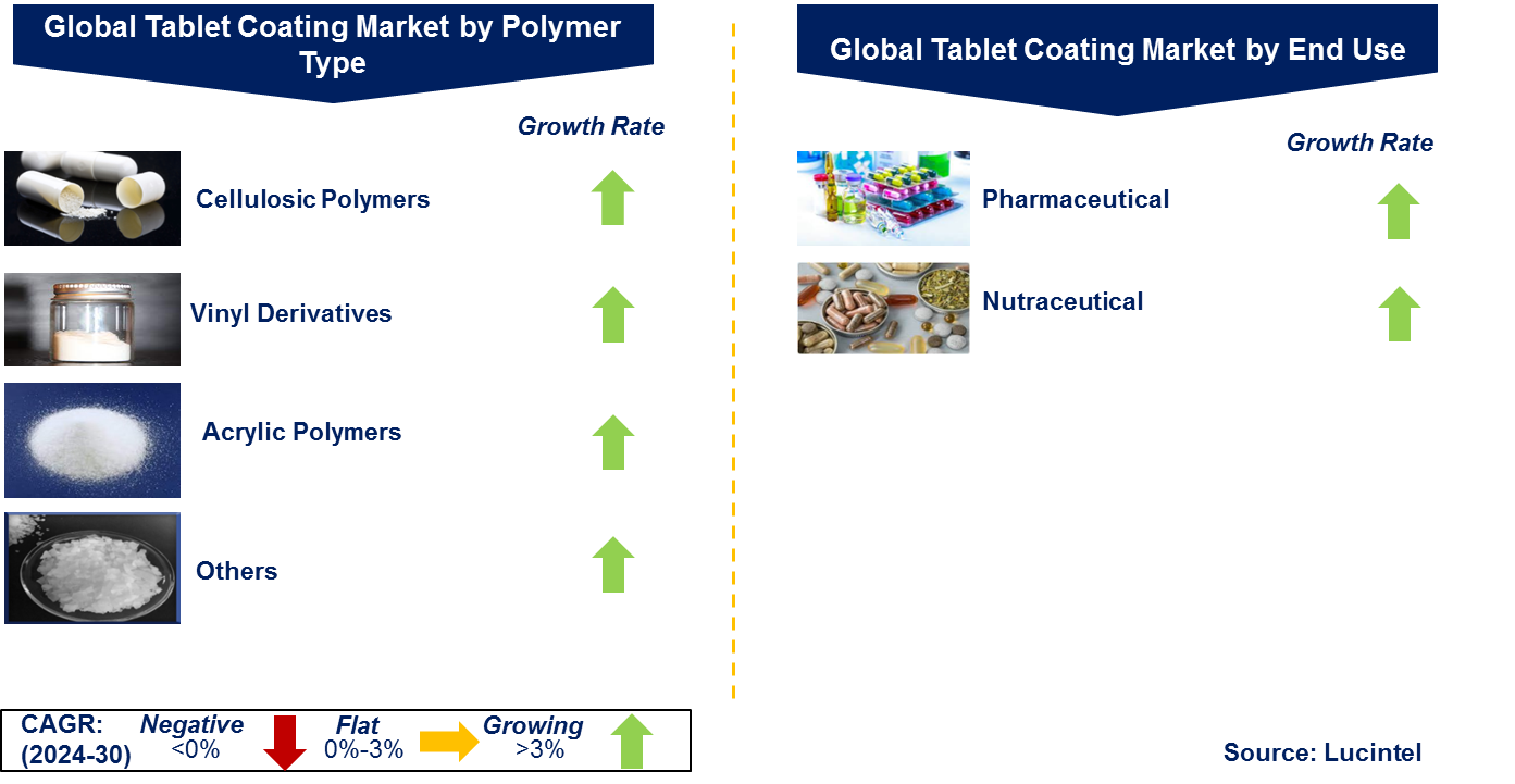 Tablet Coating Market by Segment