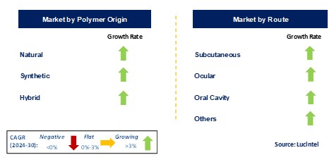 Hydrogel-Based Drug Delivery System by Segment