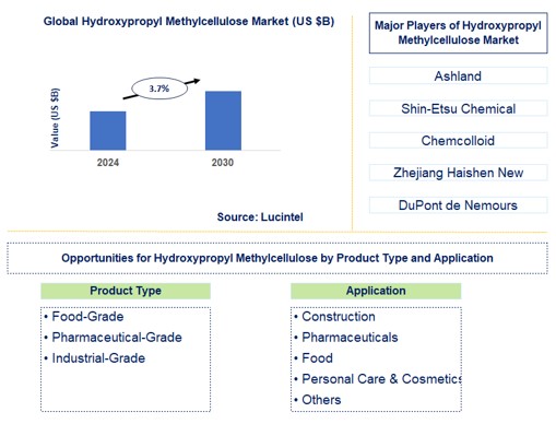 Hydroxypropyl Methylcellulose Trends and Forecast