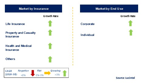 Insurance Agency by Segment