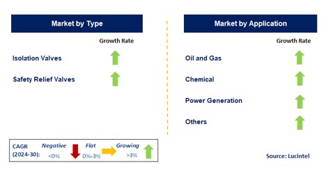 Isolation and Safety Valve by Segment
