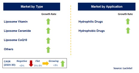 Liposomes For Drug Delivery by Segment