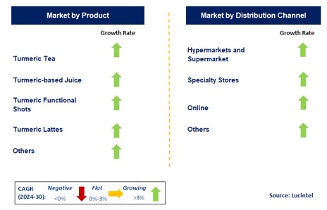 Packaged Turmeric-Based Beverages by Segment