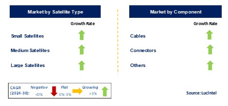 Satellite Cable and Assembly by Segment