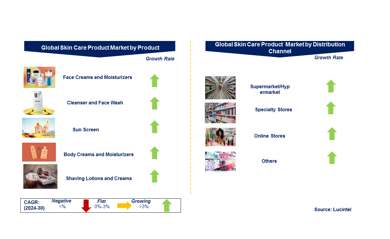 Skincare Product Market by Segment
