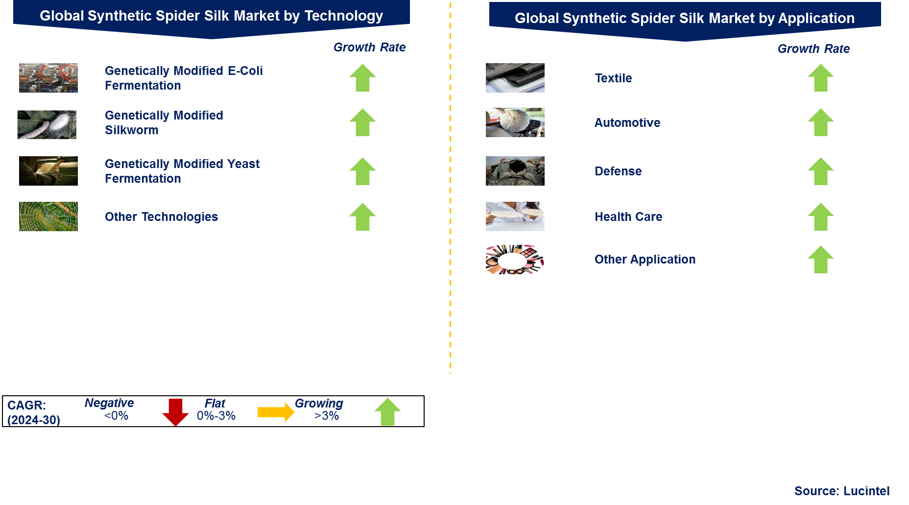 Synthetic Spider Silk Market by Segment