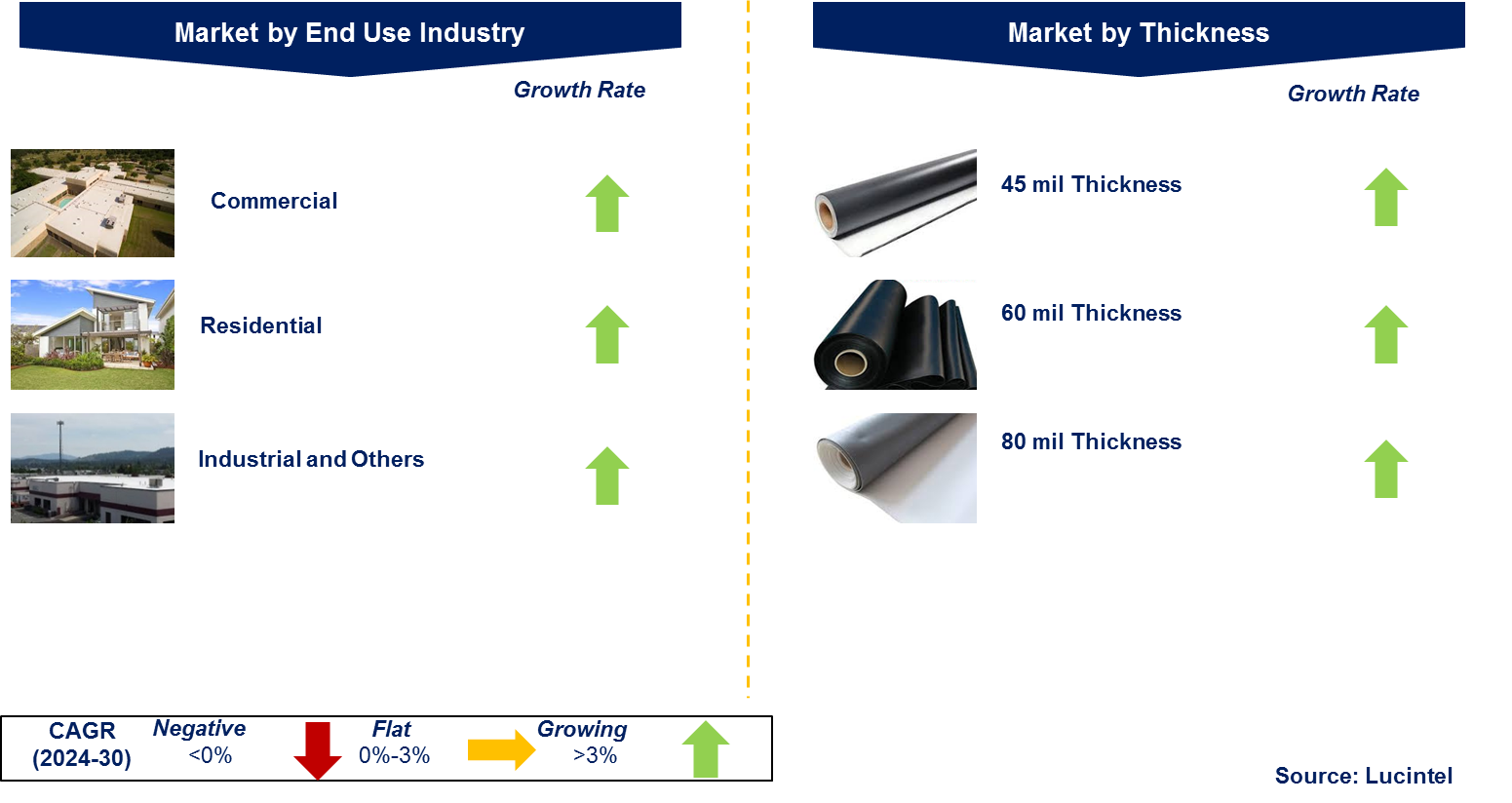 TPO Roofing Membrane Market by Segment