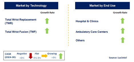 Total Wrist Replacement by Segment